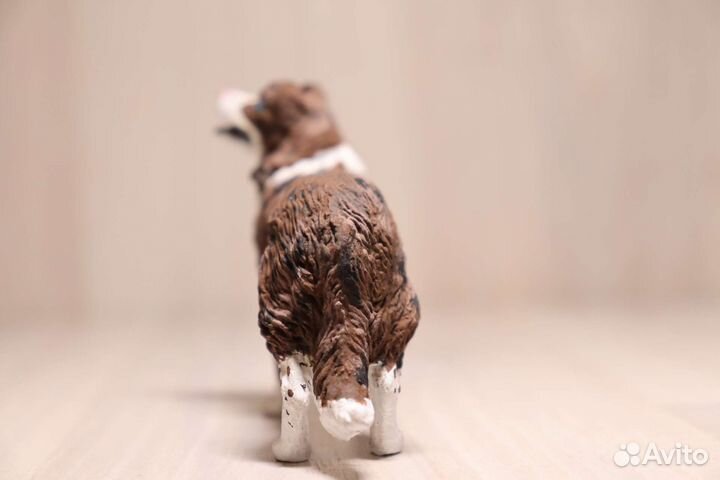 Бордер колли papo