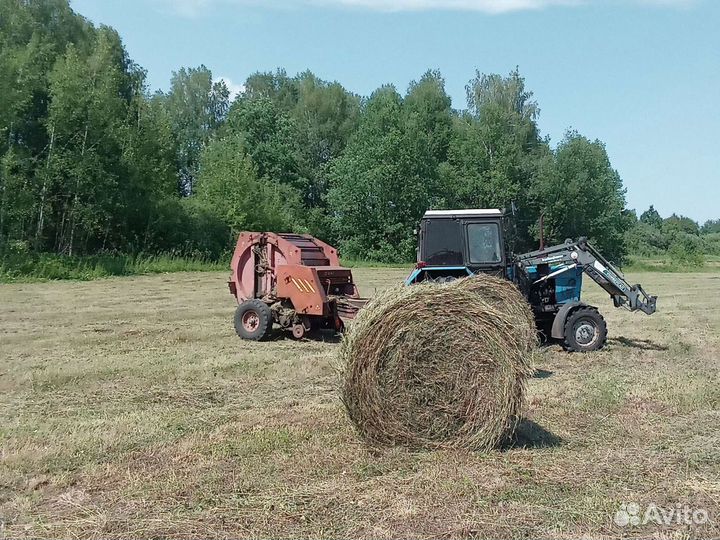 Продам сено