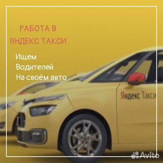 Водитель Яндекс Такси