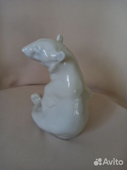 Белый медведь