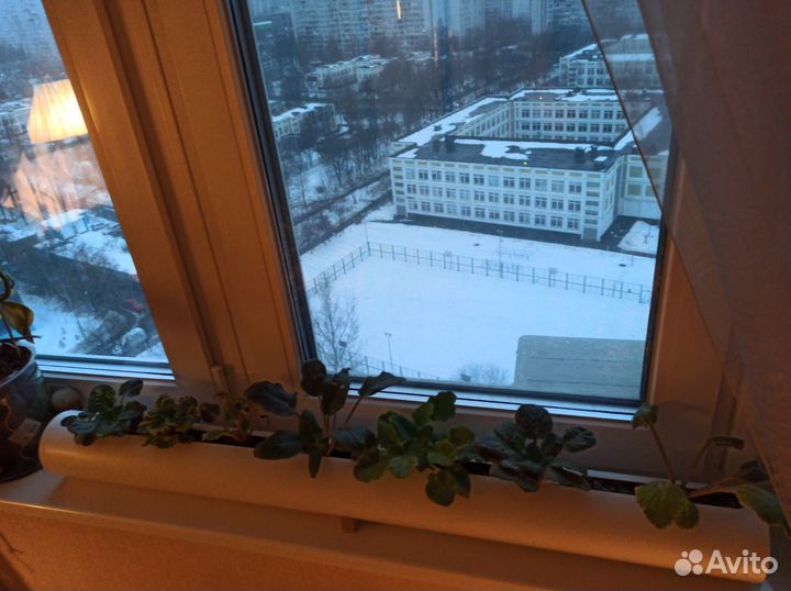 Кашпо для цветов с автополивом