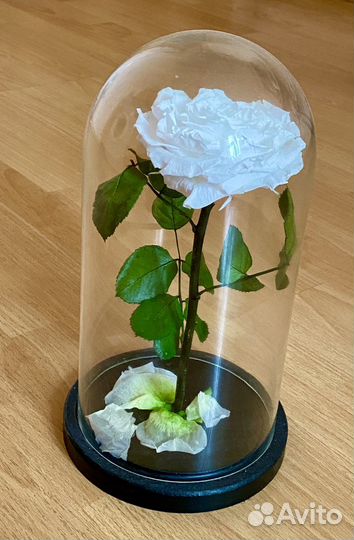 Топиарий: Вечная роза в колбе