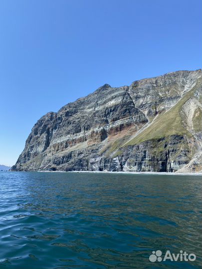 30.07. бухта Русская Морские прогулки