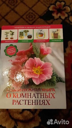 Книга все о комнатных растениях
