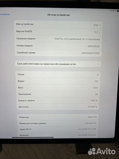 iPad pro 11 2020 256gb wi-fi 4G