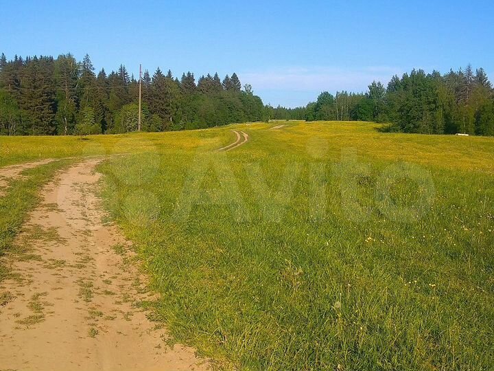 Участок 10 сот. (СНТ, ДНП)