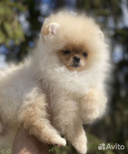 Кукольная малышка