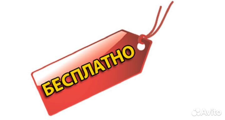 Вещи женские 42-44