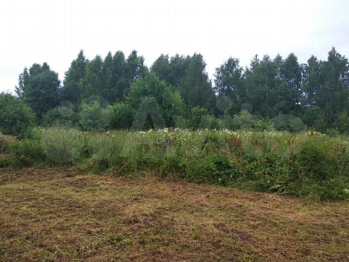 Участок 60 сот. (ИЖС)