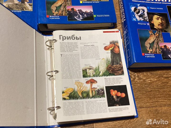 Журналы Древо познаний