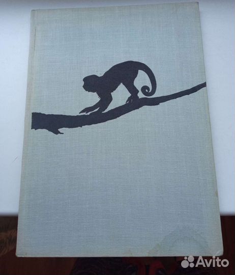 Книга о животных-обезьяны на чехословацком 1957 го