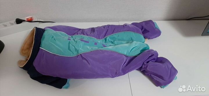 Дождевик, комбинезон, куртка и ветровка для собаки