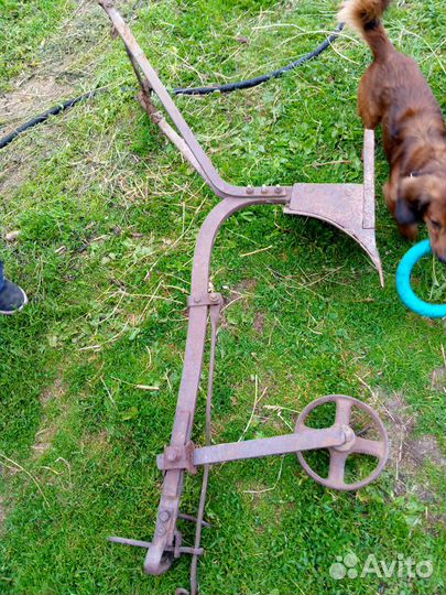 Старые плуг и окучник конные