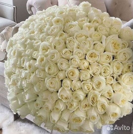 Высокие розы Гигантские розы Доставка цветов