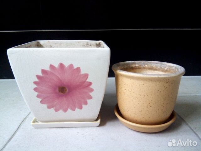 Горшки для цветов и кактусов