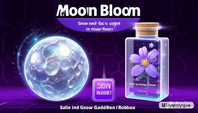 Moon Bloom, Ереван
