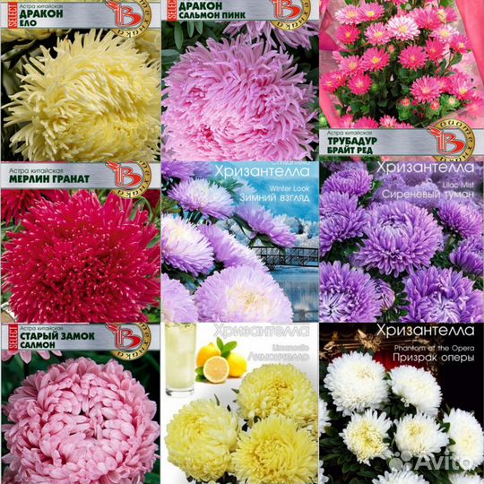 Рассада цветов