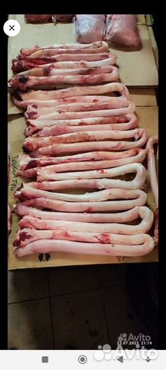 Семенники бычьи. яйца, корни бычьи крупные