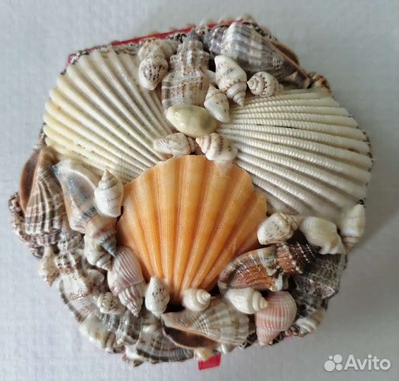Шкатулка из ракушек