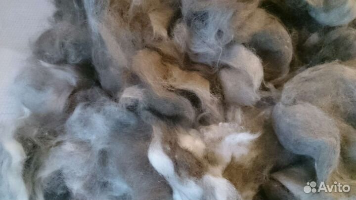 Собачья шерсть