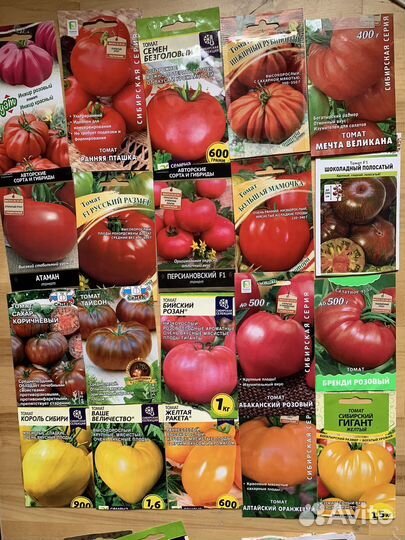 Помидор рассада 80 сортов. Коллекционные