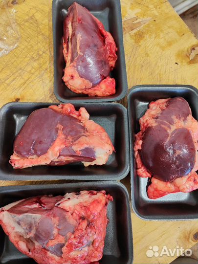 Конские почки для собак