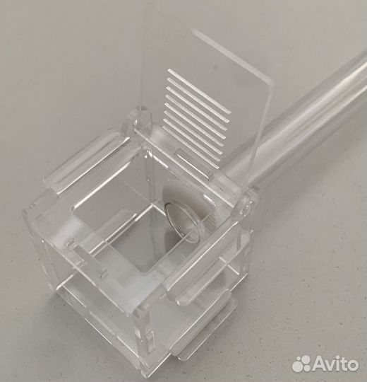 Муравьи Инкубатор для муравьев Ферма для муравьев