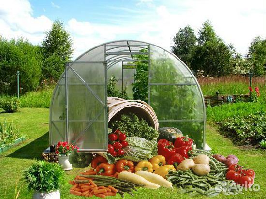 Теплицы от производителя