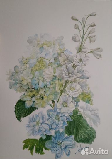 Картина Акварель Голубая гортензия и Дельфиниум