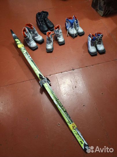 Беговые лыжи