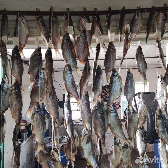 Тарань азовская мелкая