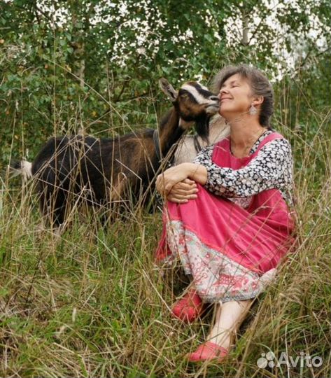 Сгущёнка домашняя из козьего молока