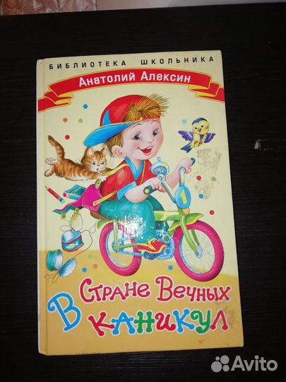 В стране вечных каникул