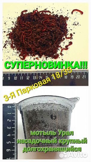 Мотыль Крупный Живой Фасованный долгохранящийся