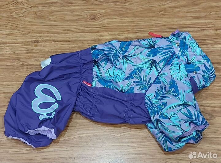 Одежда для собак