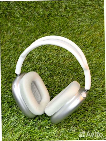 Apple Airpods max