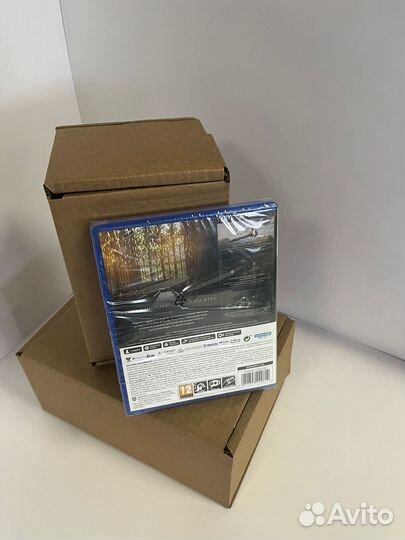 Игра на PS5 Hogwarts Legacy