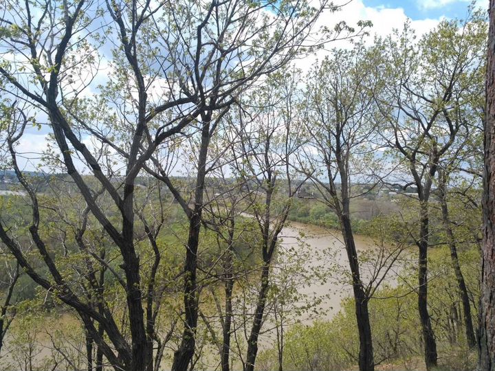 Коттедж 220 м² на участке 20 сот.