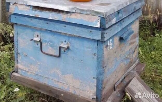Продаю ульи