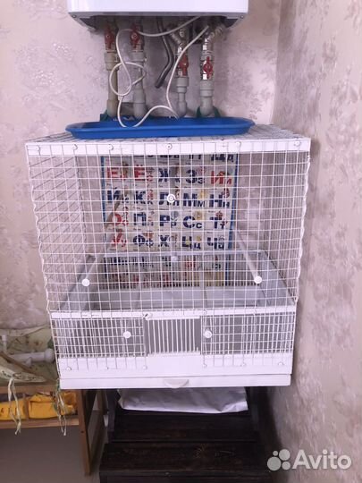 Клетка для попугая