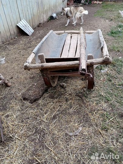 Сани для лошадей