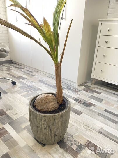 Горшок для цветов 30 см