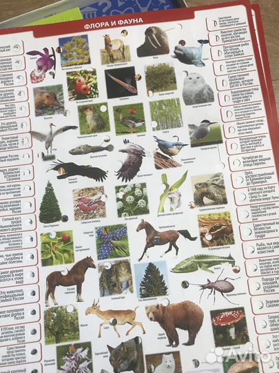 Настольная игра Россия eduka