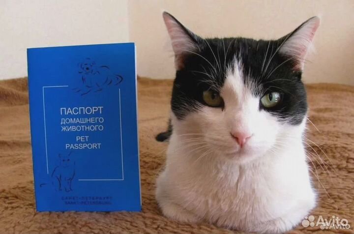 Ветеринарный паспорт животному