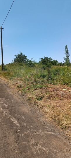 Участок 15 сот. (ИЖС)