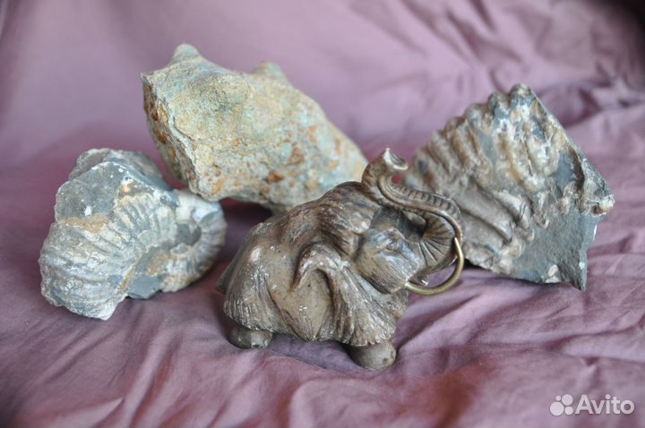 Коллекция антика