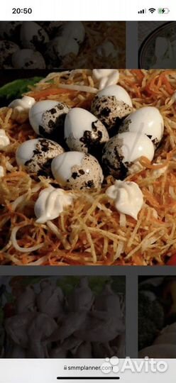 Перепелиное мясо и яйцо