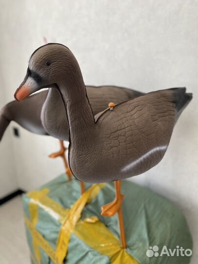 Чучела белолобых гусей 40,1 см