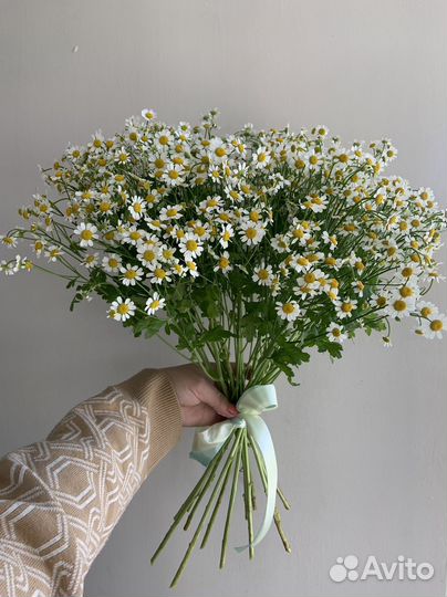 Букет ромашек
