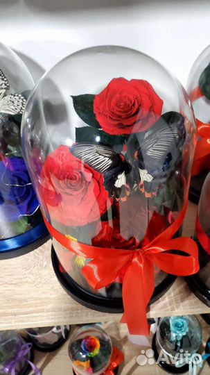 Розы как в сказке в наличии в Ставрополе